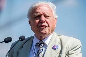 Joe Brolly: 'Brady disturbs local Pride in Donegal outback'