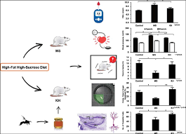 This had lead to many people using honey as a sugar alternative on foods, in drinks and as a natural treatment for wounds. Stingless Bee Honey Reduces Anxiety And Improves Memory Of The Metabolic Disease Induced Rats Bentham Science