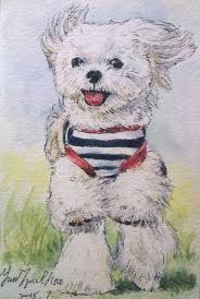為毛孩子繪製的畫 狗奴 貓奴掛保證台灣動物插畫家 ettoday 東森新聞雲 animals teddy dogs