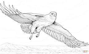 Hundreds of free spring coloring pages that will keep children busy for hours. Flying Hawk Super Coloring Animal Coloring Pages Eagle Drawing Animal Sketches