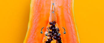 Ted K Archive: A woman's history of pleasure and piercings.