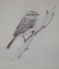 Flowers Drawings Inspiration How To Draw A Bird Step By Step Easy Flowers Tn Leading Flowers Magazine Daily Beautiful Flowers For All Occasions Free coloring pages make it easy and fun to learn about state symbols and the united states. flowers drawings inspiration how to