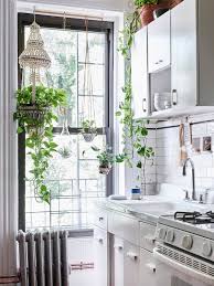 Un Appartement Cosy A Brooklyn Blueberry Home Inspiration Deco Cuisines Lumineuses Deco