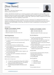 file clerk resume templates for word