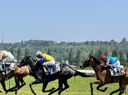 paris sur les courses de chevaux et fiscalité en France
