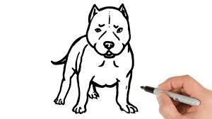How To Draw Pitbull Puppy Easy Youtube Whether you're interested in drawing cute cartoon characters, learning the comic book style, or using adobe illustrator to make cartoons, udemy has a course to help bring your animations to life. how to draw pitbull puppy easy
