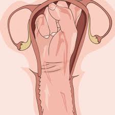 子宮断面図〜人×人、異種妊娠、受精、フィスト〜色々まとめ - RJ01420445 - Free Download | Free Download |  HentaiCovid.com | Hentai OVAs - Hentai Games - Hentai CGs - Hentai Mangas -  Hentai Voices