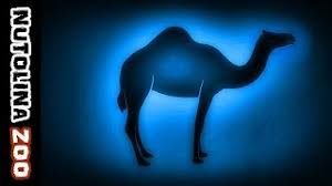 Sports updates, scores and information: Kamel Gerausch Kameel Geluid Camel Sounds Kamel Sound Youtube