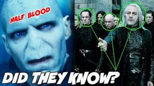 Rowling's series of harry potter novels. Did The Deatheaters Know Voldemort Was A Half Blood Harry Potter Theory Youtube