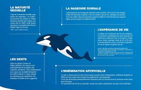 Check spelling or type a new query. Marineland Repond A Ses Detracteurs Dans Un Depliant Manipulation Marineland