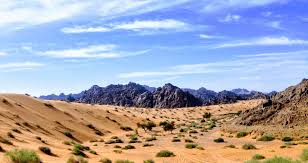 Maybe you would like to learn more about one of these? Saudi Arabia Evisa For Citizens Of New Zealand