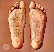 Foot Reflexology Chart To Map Sole Zones And Organs