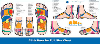 Kerry School Of Reflexology