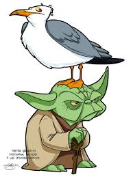 That log had a child! 11 Seagulls Stop It Now Ideas Star Wars Humor Star Wars Memes Star Wars