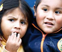 Guía de recursos pedagógicos para el apoyo socioemocional frente a  situaciones de desastre: la experiencia de Ica: Fuerte como