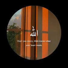 Image result for tbn:fWFGfe7mxNEQKM::www.feamman.com/wallpapers/Img-82755.jpg