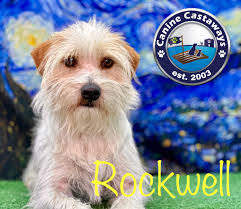 Debbie Giddens's Instagram, Twitter & Facebook