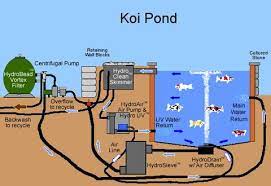 This means adding the best koi pond filter to your other accessories. Koi Ponds What Is A Koi Pond And How It Differs From Other Ponds Russell Watergardens Koi