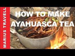 How To Make Ayahuasca Tea The Amazonian Great Medicine Youtube