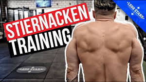 Trapezmuskel triggerpunktdiagramm, schmerzmuster und verwandte medizinische symptome. Die Besten 3 Kraftubungen Fur Dein Trapez Stiernacken Training Youtube