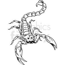 Black And White Scorpion Tattoo Design Vector Scorpion Tattoo Lion Art Tattoo Tattoo Designs