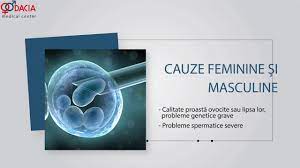 Fiv este una din tehnicile cele mai frecvente utilizate în reproducerea asistată. Fertilizare In Vitro Cu Embrioni Donati Youtube