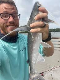 Can you smoke catfish and other freshwater fish?