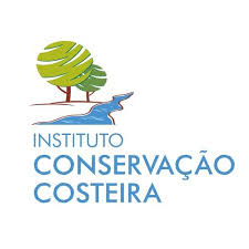 Logo ICC – Treinamento Operacional de Pilotos RPA Classe 3 DroneNation