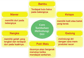Jawaban tema 2 kelas 6 halaman 28. Jawaban Tema 2 Kelas 6 Hal 21 Dan 24 Brainly Co Id
