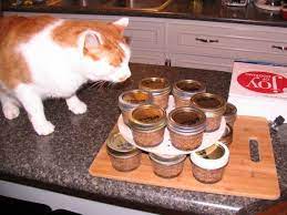 Cooking For Kitty Homemade Canned Cat Food Catfood Homemade Cat Food Canned Cat Food Healthy Cat Food