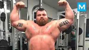Tom stoltman's journey into strongman began with watching his older brother luke stoltman training in the gym. The World S Strongest Man Eddie Hall Muscle Madness Youtube