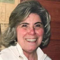 Contributions to the tribute of Rosemary Constantine