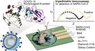 Performance of electrochemical immunoassays for clinical diagnostics of  SARS-CoV-2 based
