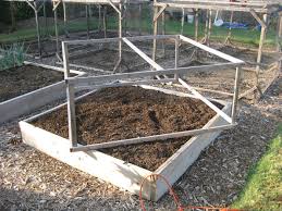 We did not find results for: Raised Bed Pest Cover Redux Finegardening