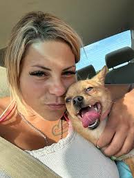 Lost chihuahua in Macks Creek area