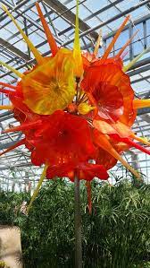5 out of 5 stars. Pictures Of 50 Jaw Dropping Blown Glass Flowers Home Stratosphere