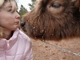 Meghan Markle's Early Life and Rise to Fame