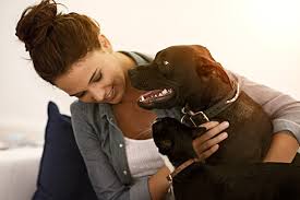 In fact, this is a much bigger risk than contamination or digestive irritation. Osteosarcoma Bone Cancer In Dogs