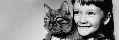 A Most Unusual Cat Movie