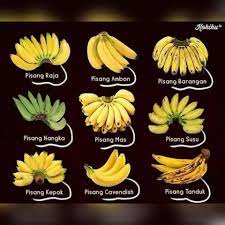 Pisang merupakan salah satu jenis buah yang paling populer di indonesia. Jenis Jenis Pisang Di Bumi Bintulu My Vaie Facebook