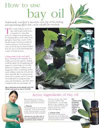 Table of contents how long do bay leaves last? 25 Bay Leaves Ideas Bay Leaves Herbs Plant Leaves