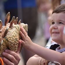 Interactive fun day entertainment from Dinomania in Grantham Market Place  called a success by South Kesteven District Council