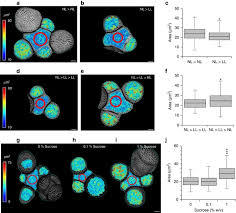 Check spelling or type a new query. Cell Size Dependent Progression Of The Cell Cycle Creates Homeostasis And Flexibility Of Plant Cell Size Nature Communications