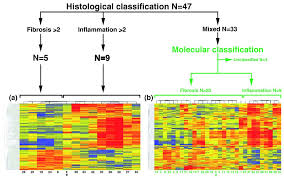 Image result for bioinformatics heatmap
