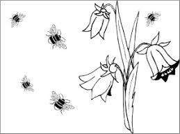 Select from 35870 printable coloring pages of cartoons, animals, nature, bible and many more. Bee Coloring Pages Free To Download And Print