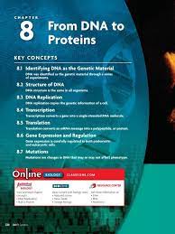 1 chapter 8 from dna to proteins key concepts 8.1 identifying dna as the genetic material dna was identified as the genetic material through a dna replication build a protein keep current with biology news. 8 From Dna To Proteins