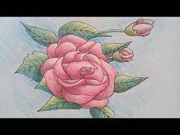 تعلم رسم وردة زهرة جورية drawings rose flower art