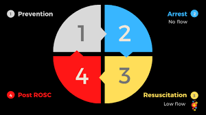 A consensus statement from the international liaison committee on targeted temperature management at 33c versus 36c after cardiac arrest. Post Rosc Care