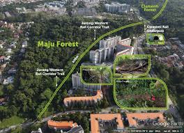 It is expected to be completed by 2023. Clementi Forest Trail Proposed By Nature Lover With Elevated Boardwalk Into Heart Of Misty Plain