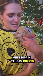 Harry Lewis Meredith